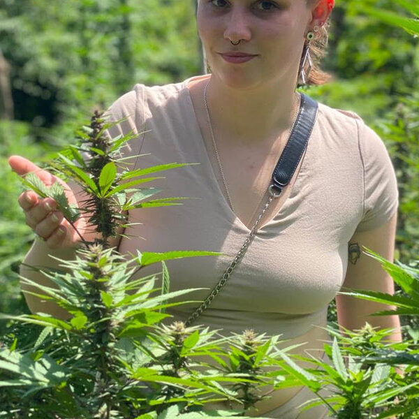 420 Weed Tours in Jamaica