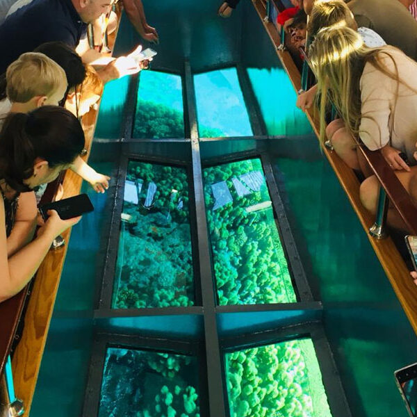 Glass Bottom Boat & Horseback Riding