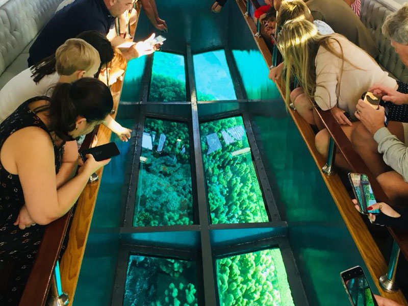 irie-excursions-and-tours-attractions-glass-bottom-boat