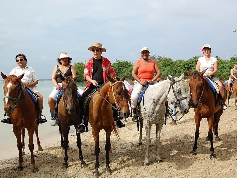irie-excursions-and-tours-attractions-horseback-riding-3